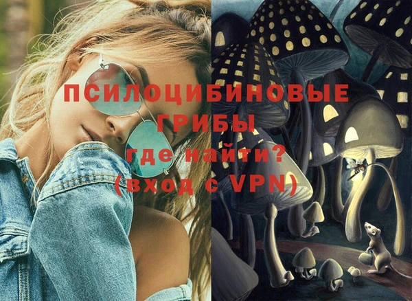 прущие грибы Киренск