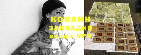 прущие грибы Киренск