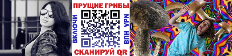 Псилоцибиновые грибы Psilocybine cubensis  Купить  Зубцов 